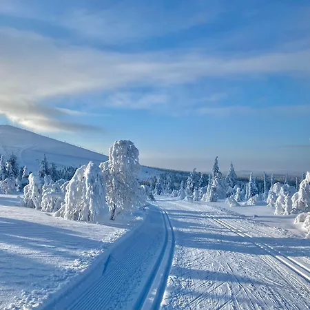Hippu In Peaceful Location Near * Äkäslompolo
