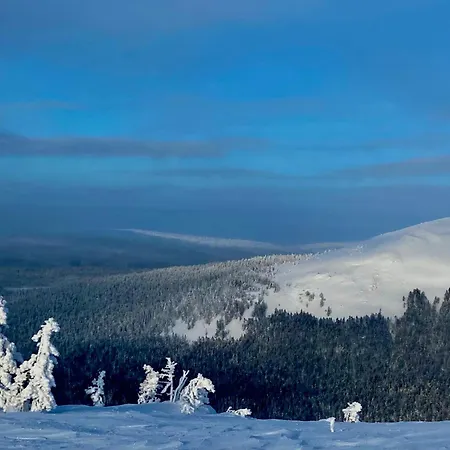 Hippu In Peaceful Location Near Chalet