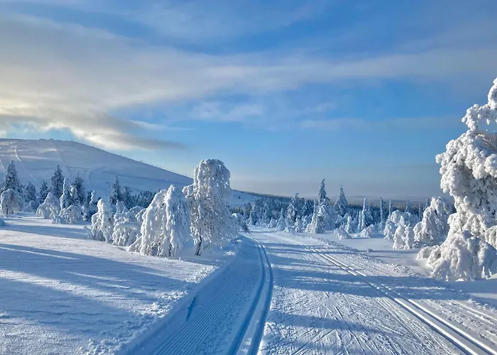 Hippu In Peaceful Location Near * Äkäslompolo