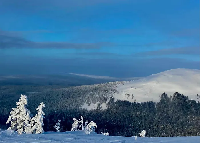 Hippu In Peaceful Location Near Chalet