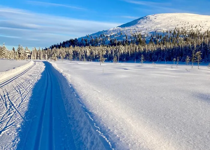 Chalet Hippu In Peaceful Location Near *